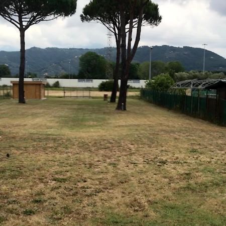 L'Alloggio Del Capitano Viareggio Extérieur photo